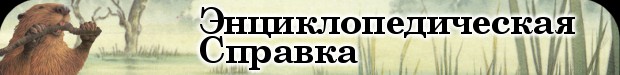 Энциклопедическая справка