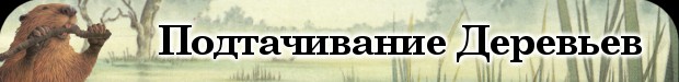 Подтачивание деревьев
