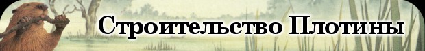 Строительство плотины