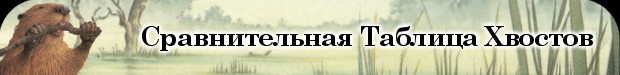 Сравнительная таблица хвостов